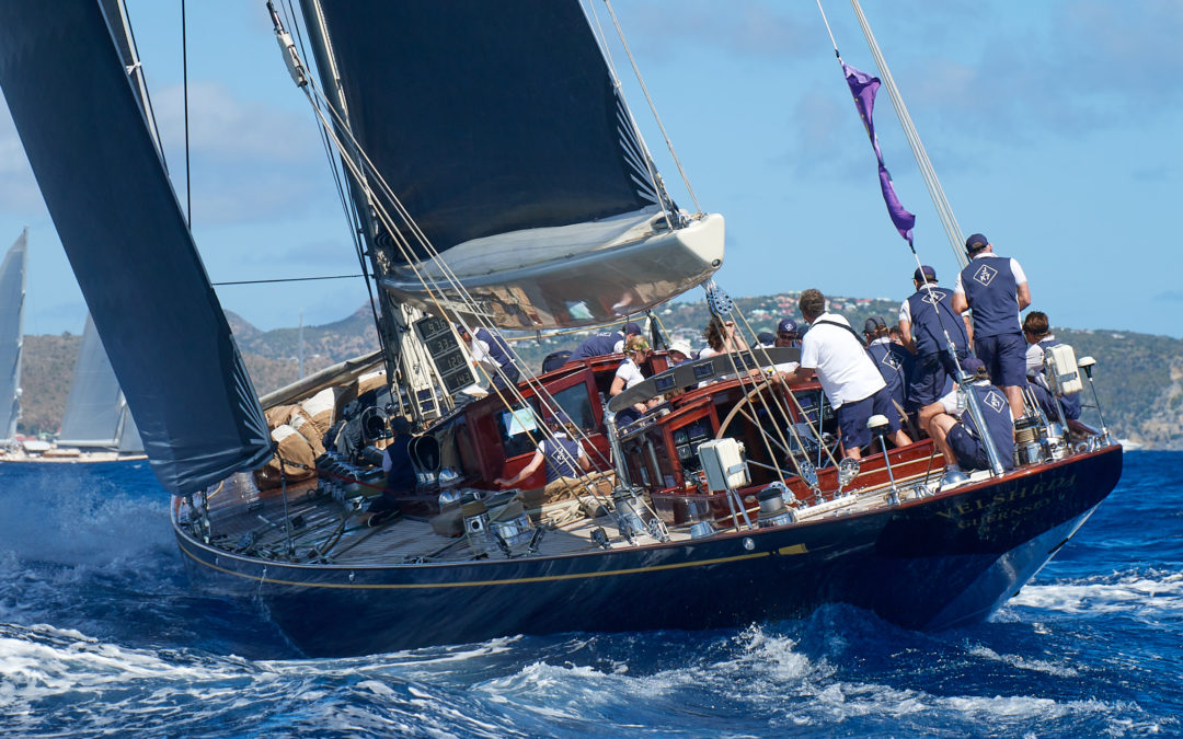 Photograph © 2019 Michael Kurtz / Pantaenius