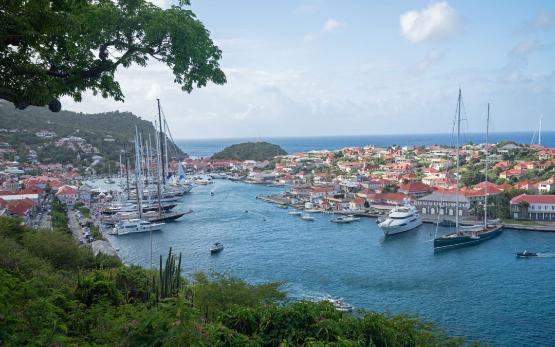 Photograph ©2022 by Ed Gudenas.