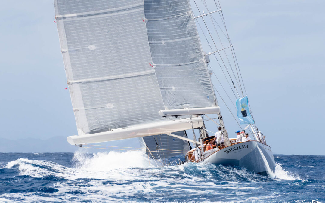 Bequia sailing in the St. Barth's Bucket Regatta.