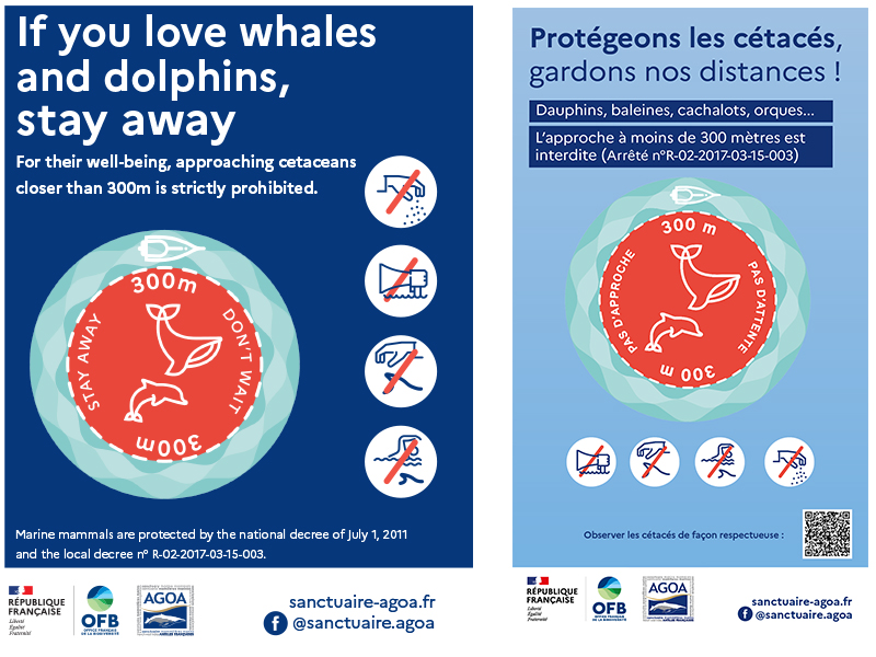 If you love dolphins and whales, stay at least 300 meters away.
