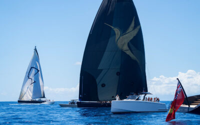 What They Said: 2025