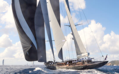 What They Said: 2026